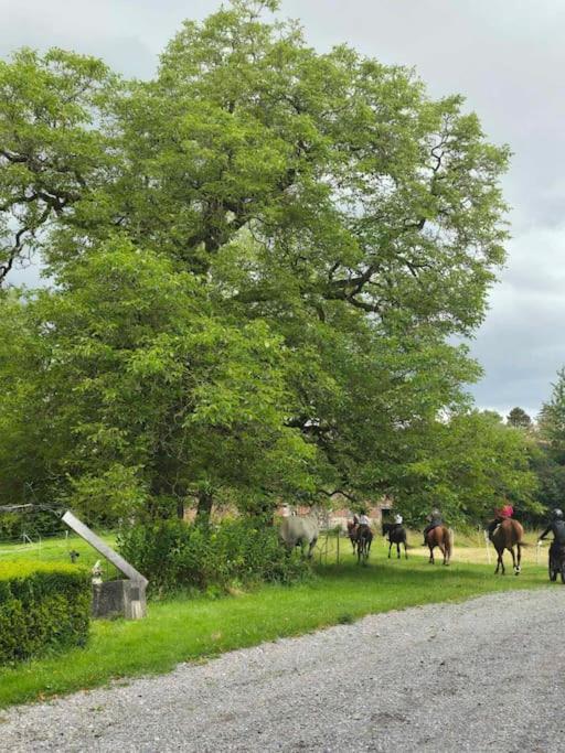 Chateau De Wallay - La Grande Ferme Ohey Eksteriør bilde